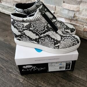 Aqua College Snake Print Sneakers
